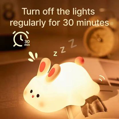 Cute Rabbit Desk Soft Night Lamp USB Rechargeable (Delivery Free)